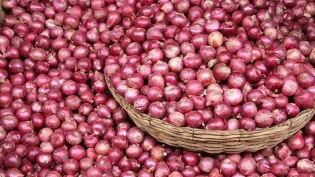 Onion Prices Rise Again Despite Arrival of New Varieties and Imports