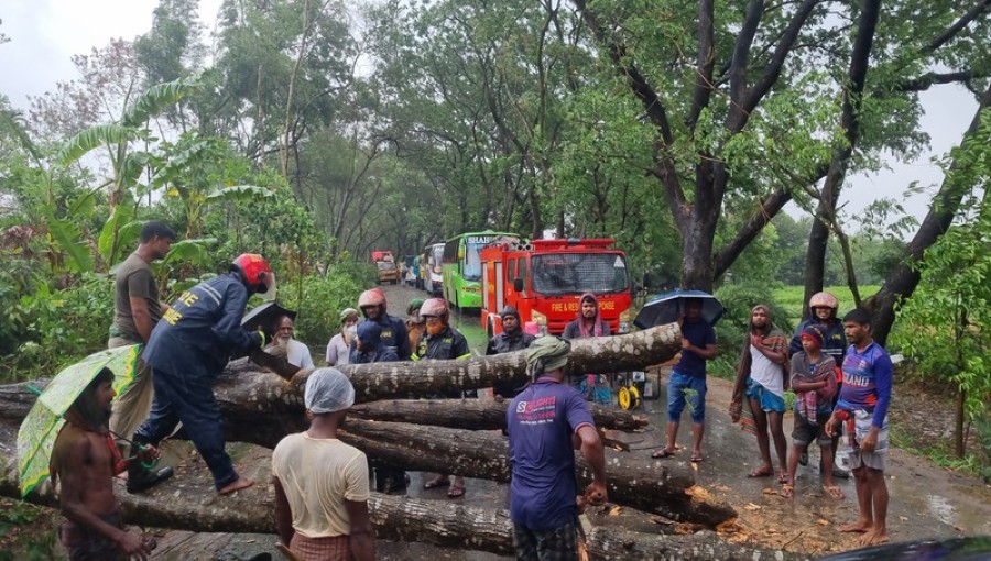 Cyclone Remal Hits Pabna: Strong winds and heavy rain uproot trees, disrupting traffic and causing a three-and-a-half-hour halt in vehicular movement. Photo: Voice7 News