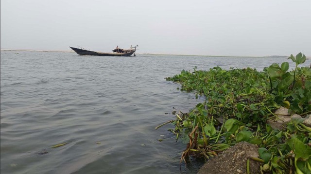 "Water level rises in the Padma River near Rajshahi, submerging low-lying char areas as monsoon-fed upstream currents bring increased flow and floating vegetation."