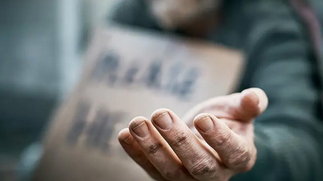 Photo: Collected