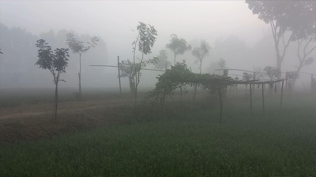 Mild Cold Wave Grips Panchagarh as Temperatures Hover Between 6–8°C