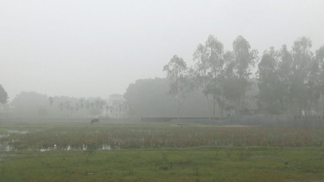 Temperature Drops to 12.8°C in Tentulia, Cold Intensifies in Northern Bangladesh