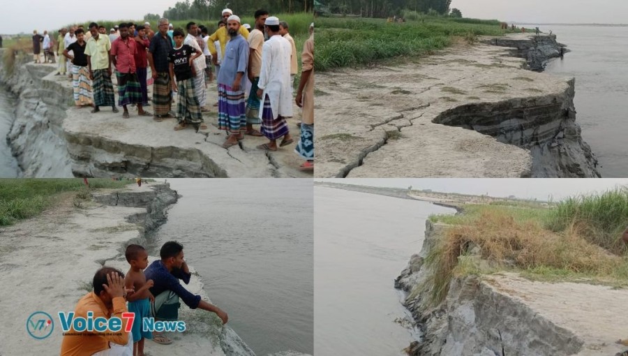 Unseasonal erosion has occurred in the Jamuna River. Affected residents are praying to Allah to protect them from the river erosion. The photos were taken last Thursday and Saturday in Lewlaipara village of Bera Upazila, Pabna. Photo: Pabna Correspondent, Voice Seven News.
