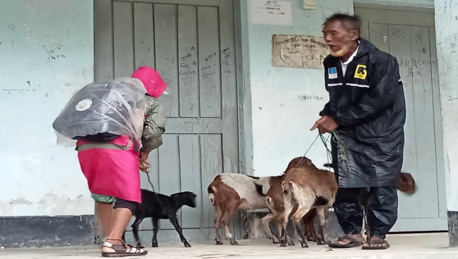 Residents of Cox's Bazar, displaced by flooding caused by Cyclone Remal, seek refuge in a local shelter, bringing along their belongings and animals. Photo: Voice7 News