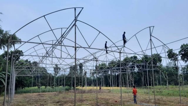 Polyhouse Farming Gains Ground in Rajshahi, Promising Year-Round Crops