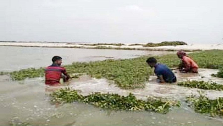 Flooded fields in Manik Char, Rajshahi, where hundreds of bighas of crops, including peanuts and jute, have been submerged due to the sudden rise in Padma River's water level, impacting the livelihoods of nearly 3,000 families. Photo: Voice7 News