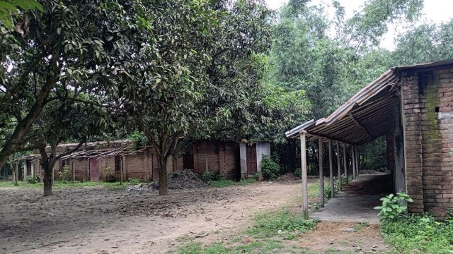 Dhorsha Adarsha High School in Mohanpur, Rajshahi, appears abandoned, yet made the SSC board list with a 100% pass rate—thanks to a lone student who passed with a GPA of 2.28.
