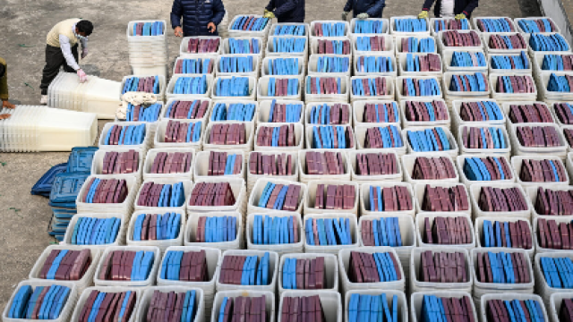 Nepal Launches Campaigns Ahead of March Parliamentary Elections