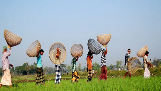 Agriculture Adviser Hails Sectoral Rebound and Food Security