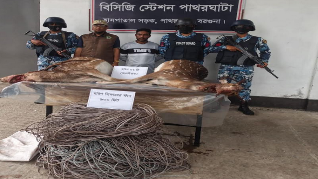 Poacher Arrested with Deer Trap and Slaughtered Deer in Barguna
