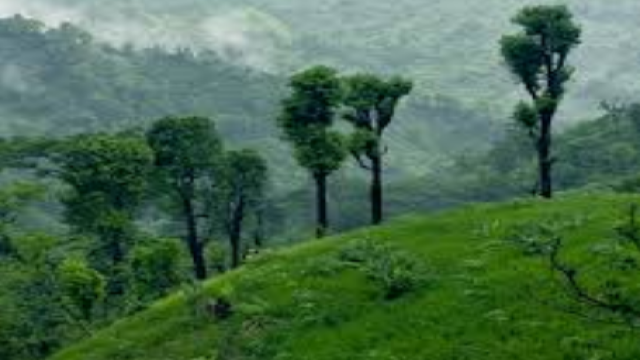 Minister urges unity, inclusivity in Hill Tracts affairs