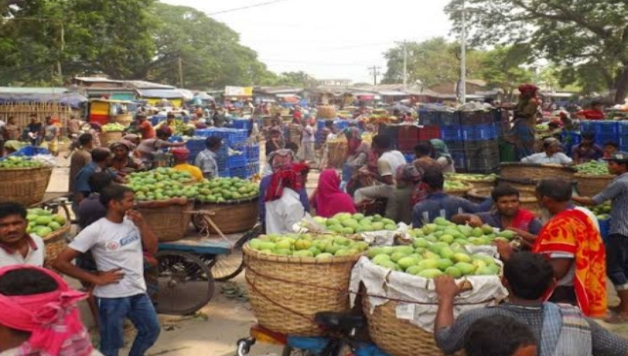 Thriving mango markets in Rajshahi reflect soaring prices and high demand this season, enticing both buyers and sellers. Photo: Voice7 News