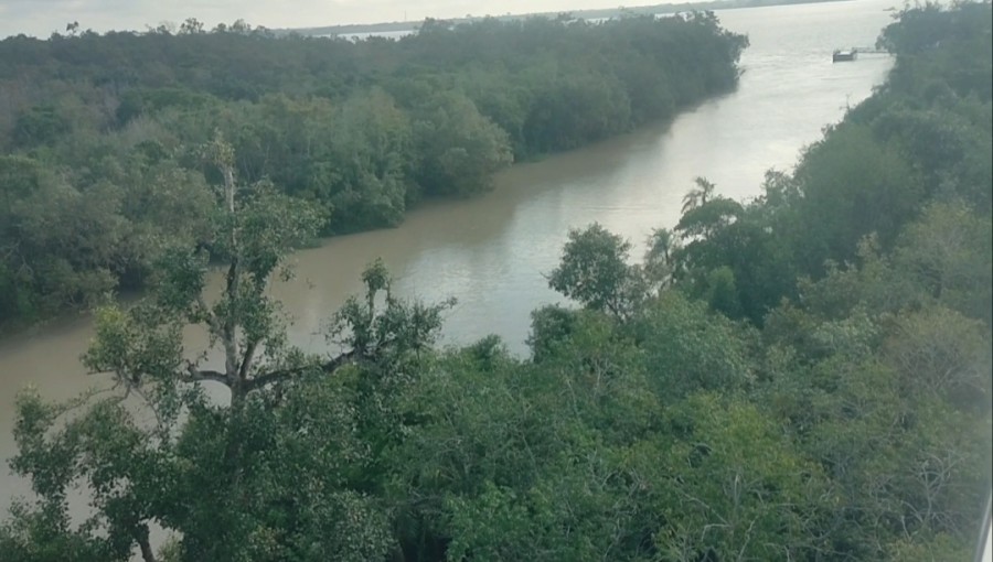 Sundarbans Tourism Potential Stifled by Lack of Coordination and Planning