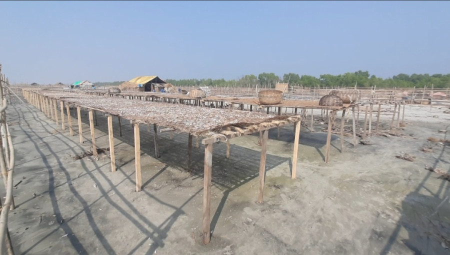 "Fish drying racks stand empty at Dubla Char's dried fish village due to a severe fish shortage, leading to production declines and revenue concerns."