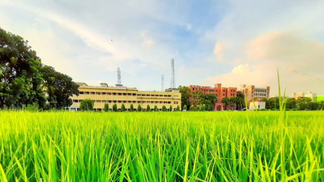 "12 pro-Awami teachers at Sher-e-Bangla Agricultural University are temporarily suspended over their alleged involvement in suppressing a student movement."