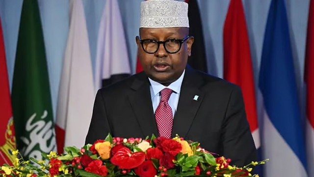 Somalia Alleges Israeli Plan to Resettle Palestinians in Somaliland, Sparking Regional Geopolitical Concerns