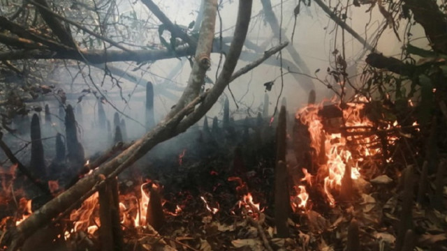 The fire, which began on Saturday morning, has yet to be contained as of this report. Forest guards are attempting to control the spread by cutting fire lines, but the lack of nearby water sources is hindering their effort