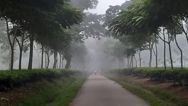 Sylhet Shivers as Season’s Lowest Temperature Hits 9.6°C