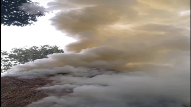 Massive Fire Gutters Cattle Trader’s Hay Barn in Golapganj