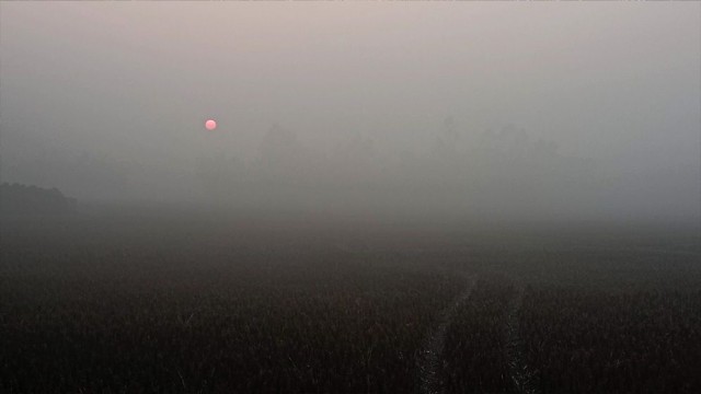 Cold Wave Intensifies in Panchagarh, Public Life Disrupted