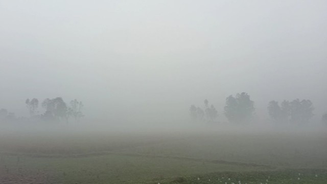 Season’s Lowest Temperature Recorded in Panchagarh as Cold Intensifies