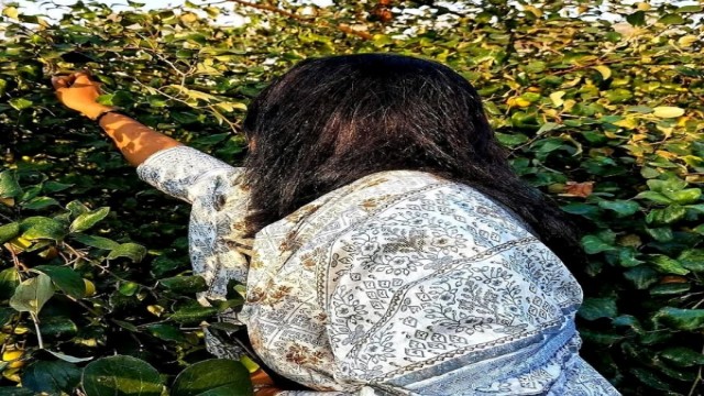 Kul farming turns loss into lakh-earning success in Jhalakathi