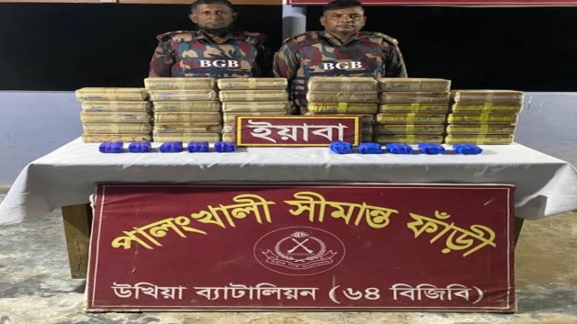 BGB Seizes Over Tk 10 Crore Worth of Yaba Pills Near Ukhiya Border
