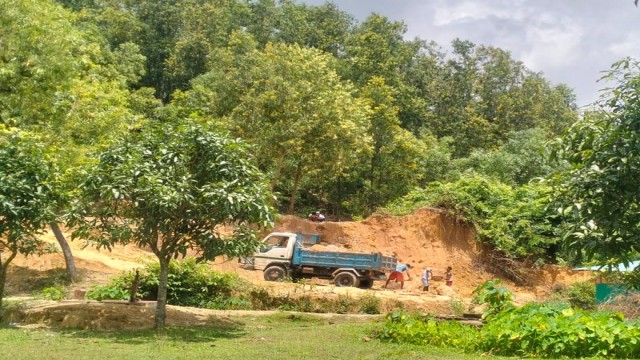 Dump trucks carry away soil from a forest hill near a madrasa in Ukhiya’s Rajapalong Union as illegal excavation continues in broad daylight.