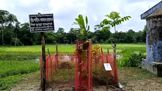 District Administrator pays respects at the grave of martyr Kamal Hossain during the July-August uprising commemoration in Jhalokathi.