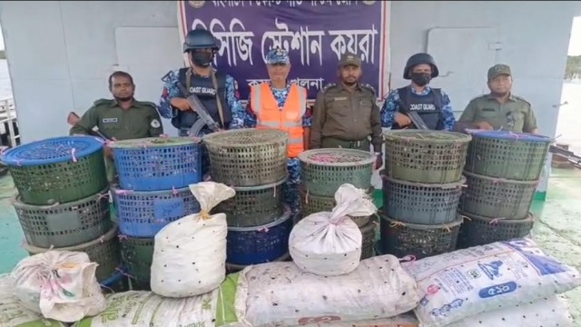 Bangladesh Coast Guard personnel conduct a search on a wooden boat in the Sundarbans, recovering 850kg of illegally collected crabs on August 25. The traffickers fled the scene before arrest. Photo: Courtesy, Coast Guard.