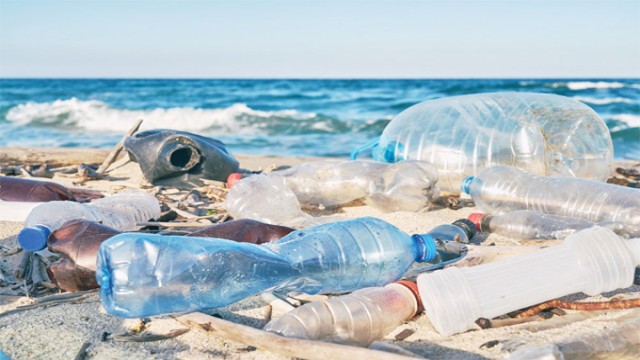 Expert Warns Bay of Bengal to Face Fivefold Increase in Plastic Pollution by 2025