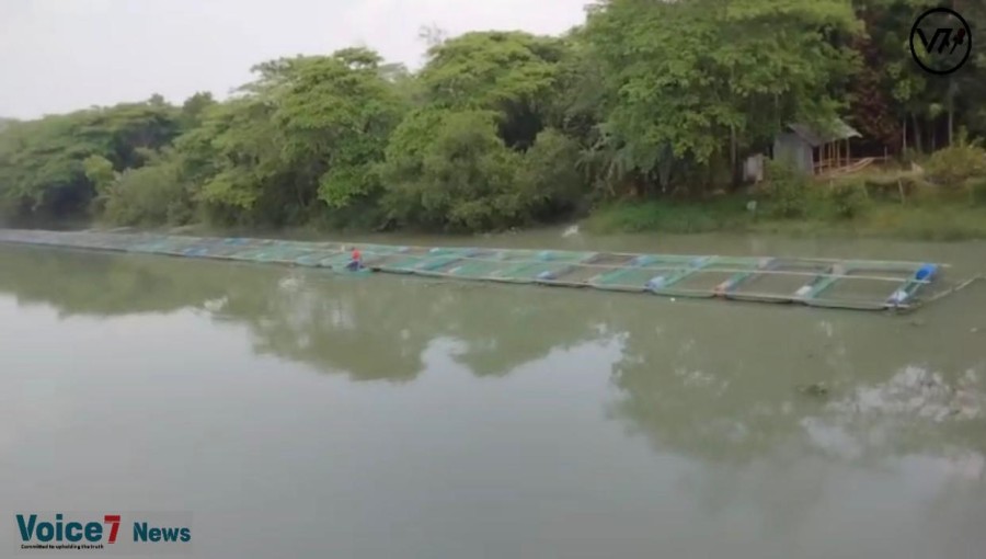 Fish aquaculture in the Pirojpur district is seen to be carried out by building boxes in rivers; this approach is economical, successful, and environmentally benign.