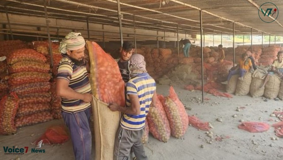 Rajshahi's cold storage is being loaded with imported potatoes 