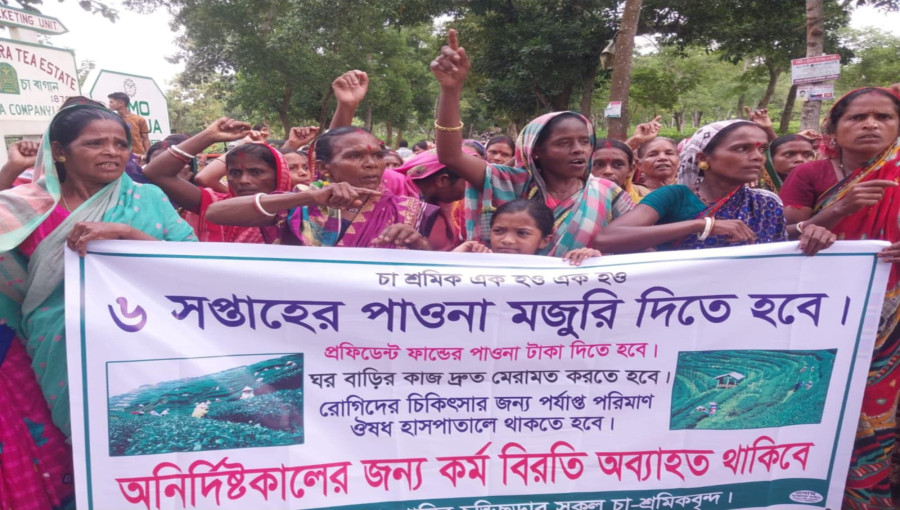 Tea workers in Moulvibazar and Habiganj protest for unpaid wages, facing severe hardship as production halts in Sylhet tea gardens.