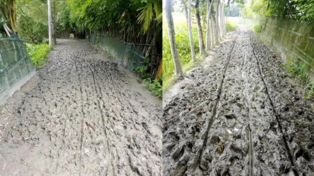 Schoolchildren struggle to walk through a mud-covered, waterlogged road on their way to class in Rajapur, Jhalokathi, as the key access route remains unrepaired despite multiple government allocations — July 19, 2025.