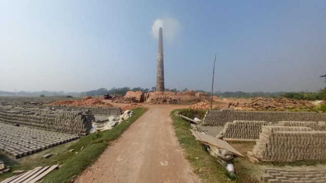 Illegal Brick Kilns Rapidly Expanding in Jhalokathi, Threatening Rural Environment