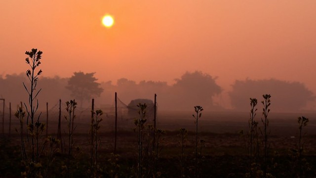 Winter in the Canvas of Rural Bengal