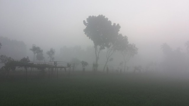 Moderate Cold Wave Persists in Panchagarh Despite Daytime Sunshine