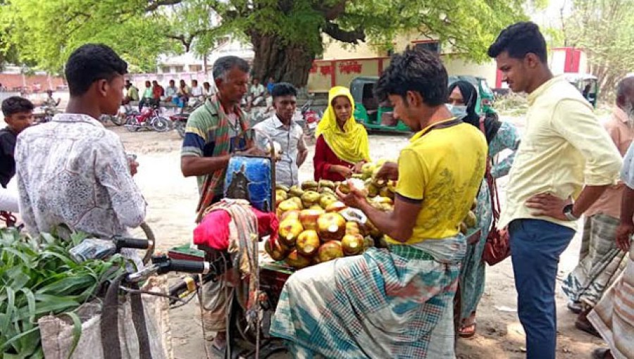 Despite high prices, the demand for palm fruit jelly has surged in Rajshahi's scorching heat, drawing buyers from all walks of life. Photo: Voice7