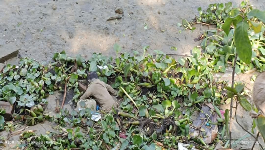 The body of a newborn baby recovered from the Sugandha River in Nalchity on January 20, 2025.